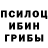Псилоцибиновые грибы Cubensis in sity