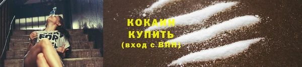 PSILOCYBIN Бугульма