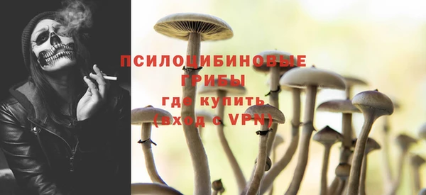 PSILOCYBIN Бугульма