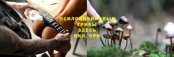 стафф Бородино