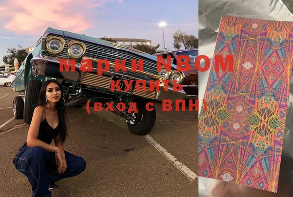 стафф Бородино