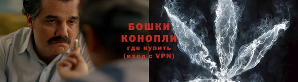 PSILOCYBIN Бугульма