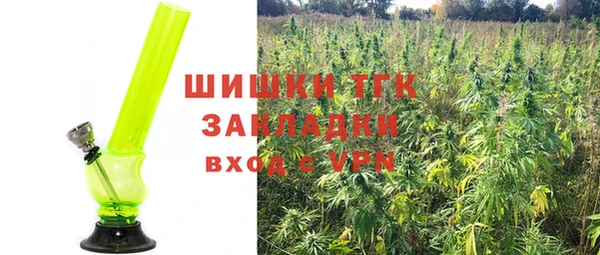 стафф Бородино