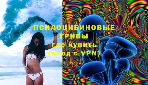 PSILOCYBIN Бугульма