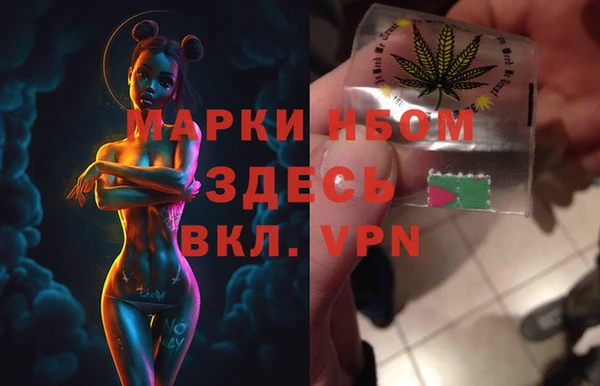 стафф Бородино