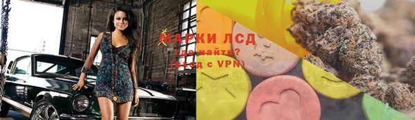 стафф Бородино